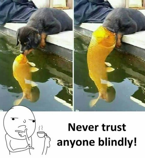 Never trust anyone blindly..... - meme