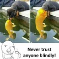 Never trust anyone blindly.....