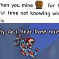 Homemade meme that’s gonna get 8% probably, but It’s Terraria, so I’m cool with it.