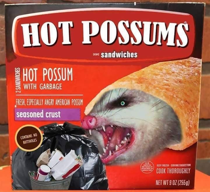 Hot possums - meme