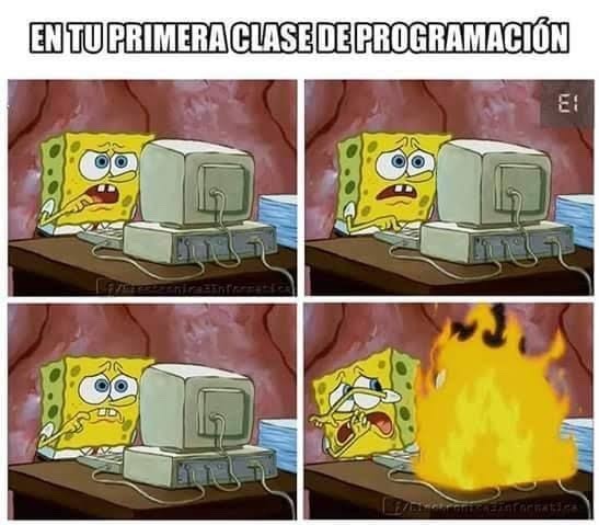 programación - meme