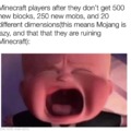 Minecraft players meme