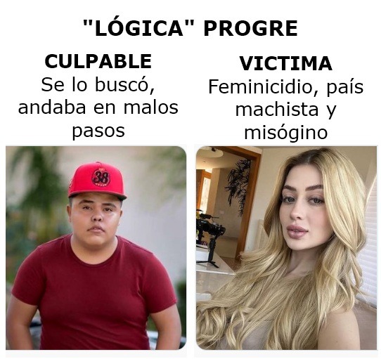 Pirata de Culican - meme