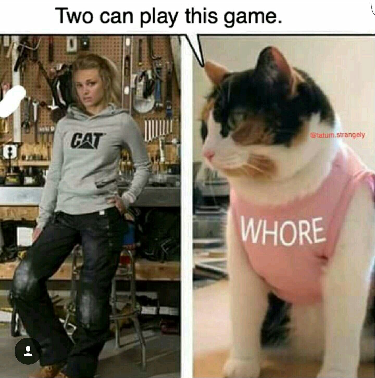 That's my cat - meme