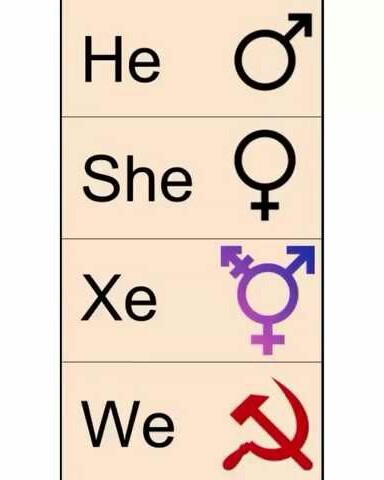 We are gender - meme