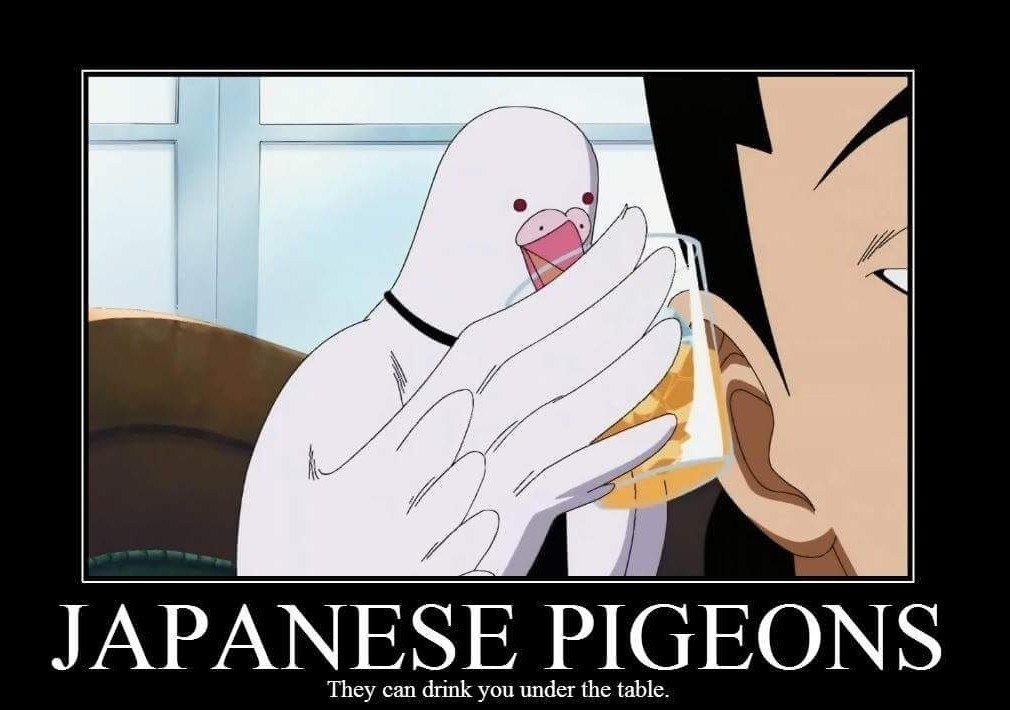 Japanese pigons op - meme