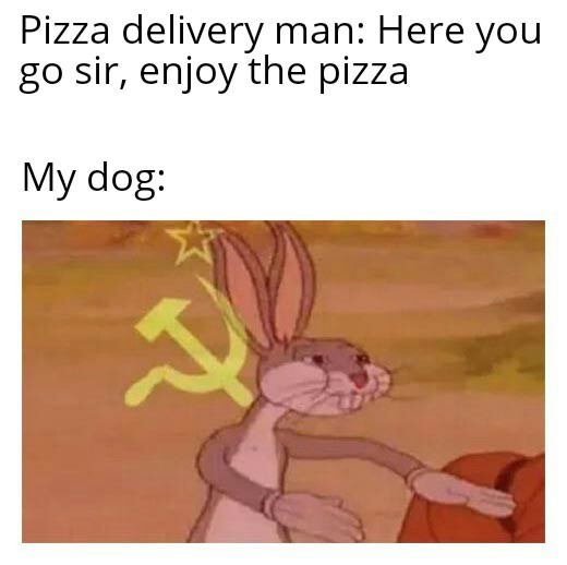 Our pizza - meme