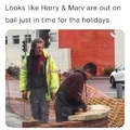 Harry and Marv...