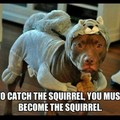 down with the squirrel
