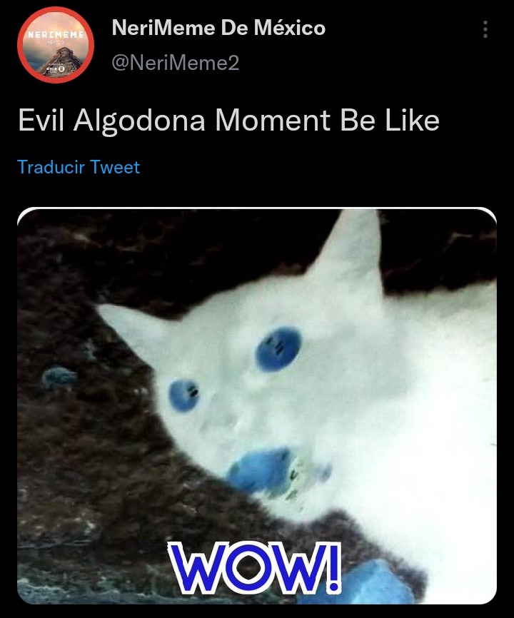 Evil Momento Algodona Be Like - meme