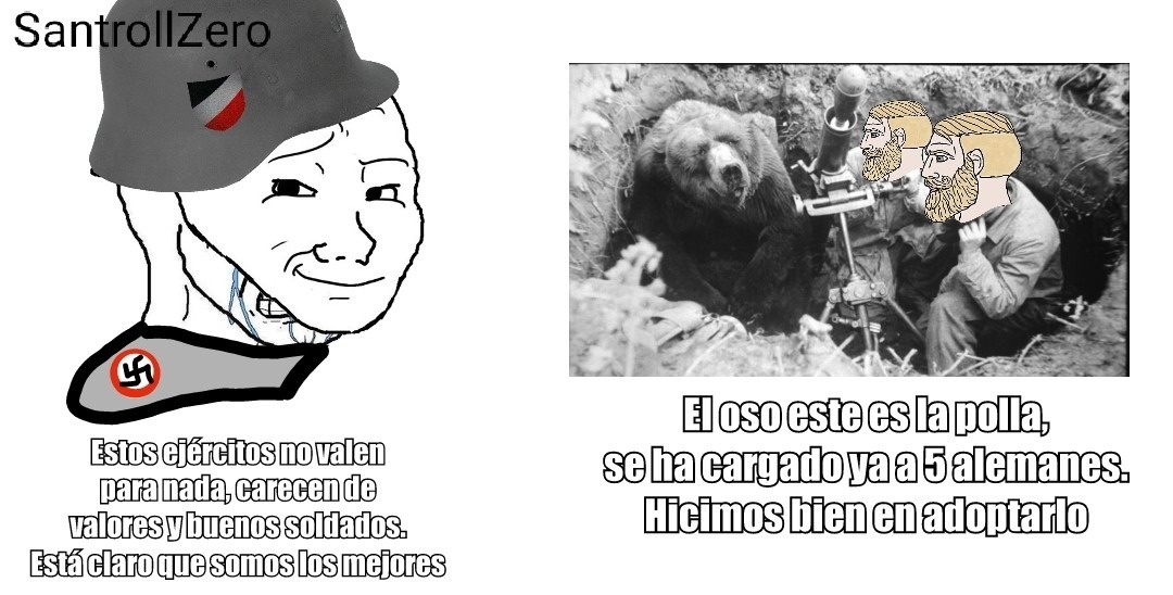 Contexto: Su nombre es Wojtek, fue un oso que el ejército polaco adoptó como soldado durante la Segunda Guerra Mundial  - meme