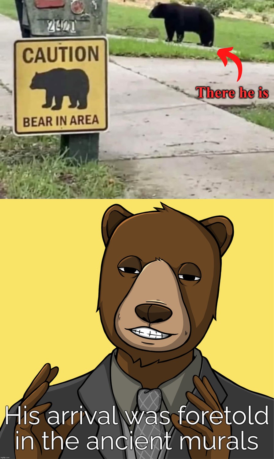 Bear Meme