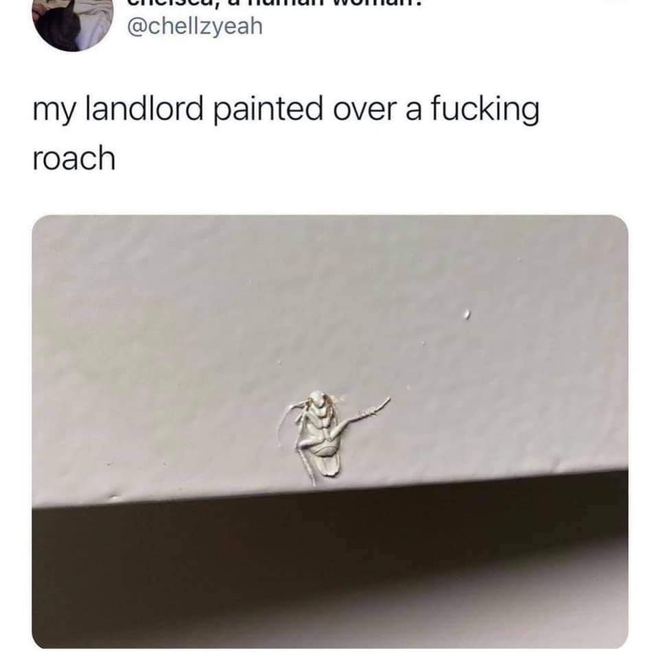 best landlord - meme