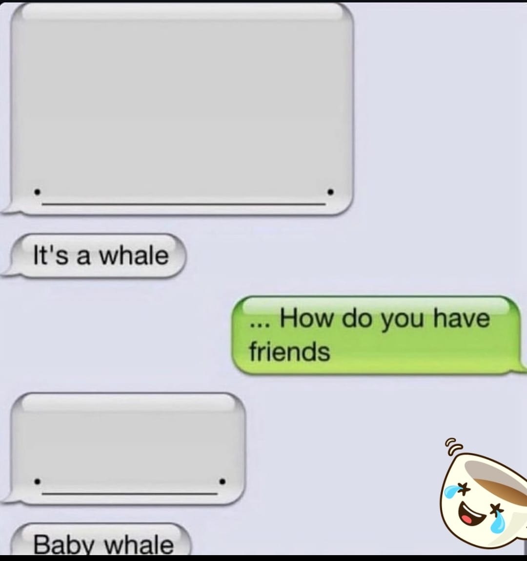 Whale - meme
