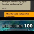 Destruktion 100