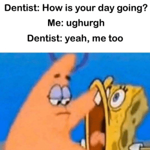 The Best Dentist Memes Memedroid