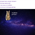 WTF quien rayos lanza a su gato al espacio?
