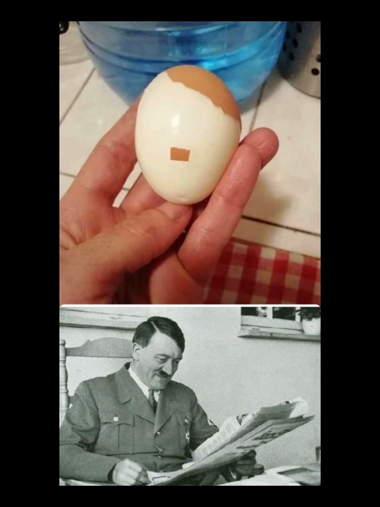 Hitleregg - meme