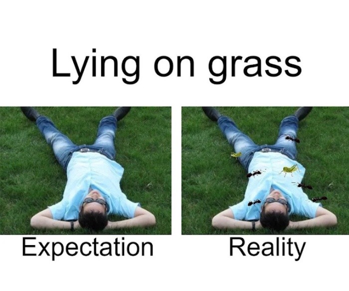 fake vs reality: sitting on grass - meme