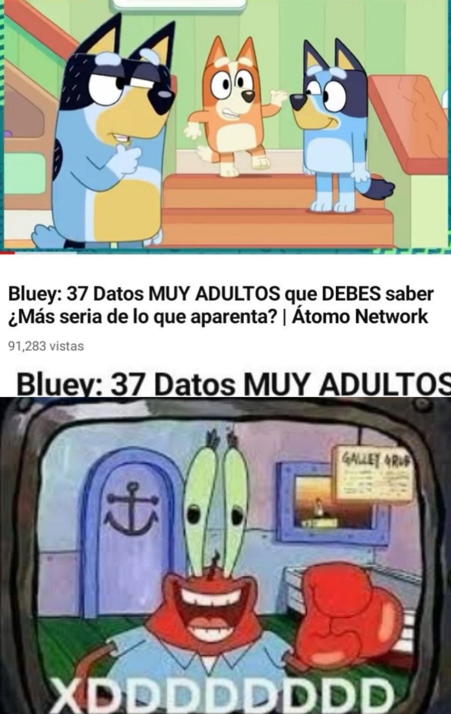 Bluey:37 datos muy adultos - meme