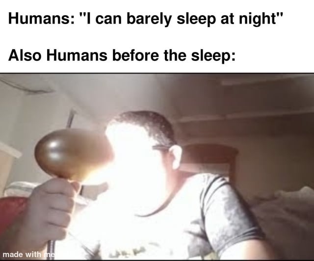 Humans before sleep - meme