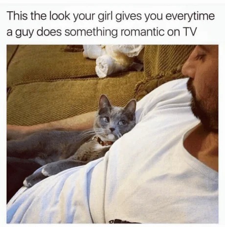 Girlfriend look - meme