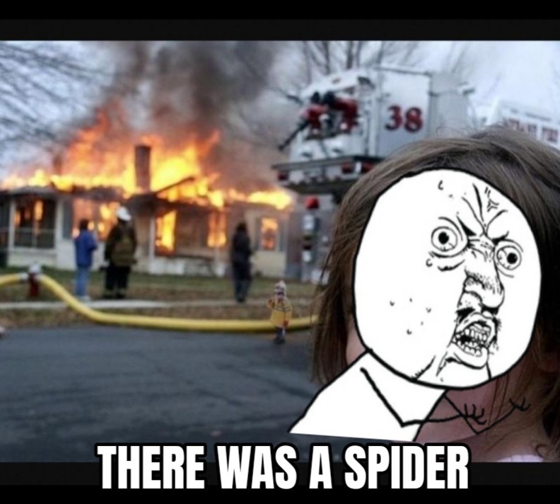 House + spider= - meme