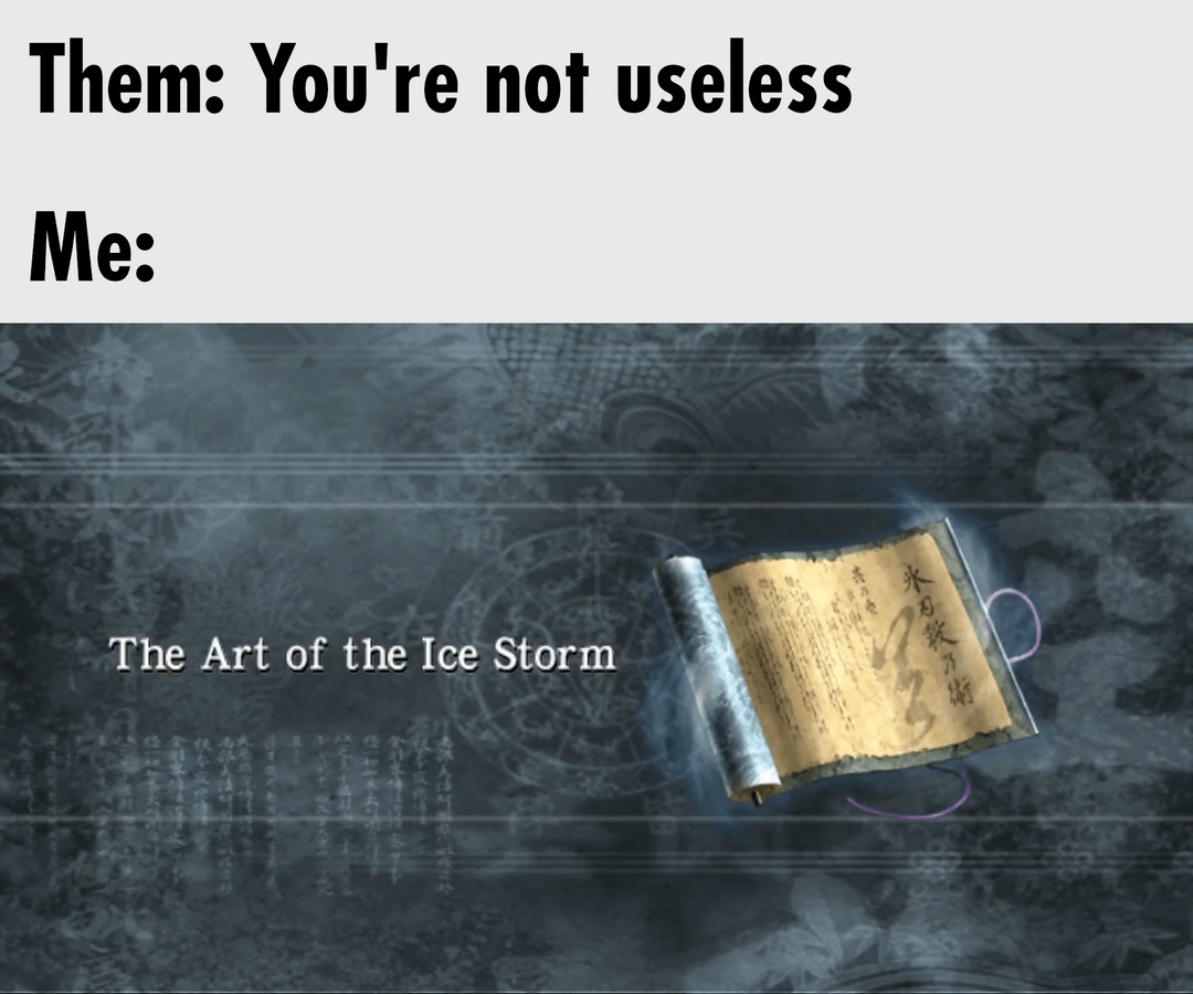 2025 snow storm meme