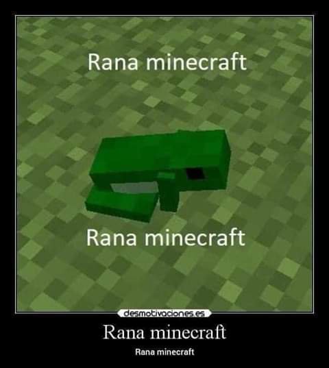 Rana minecraft - meme