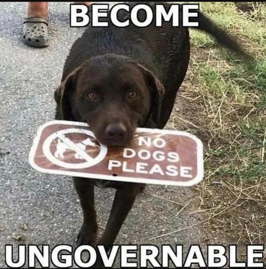 Doggo breaking rules - meme