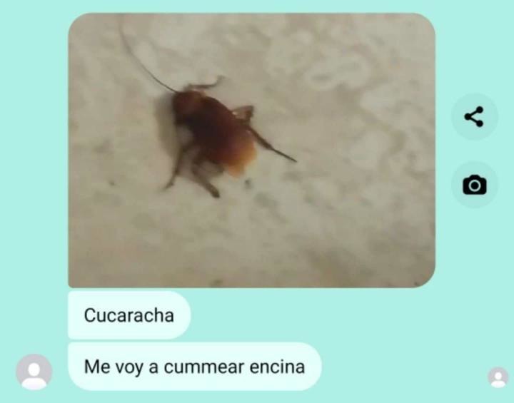 cucaracha - meme