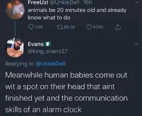 Animals vs humans - meme