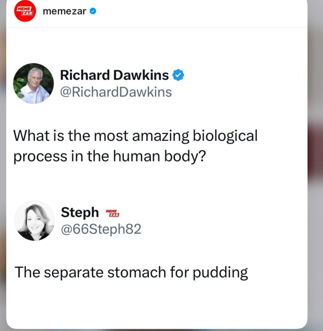 Pudding stomach - meme