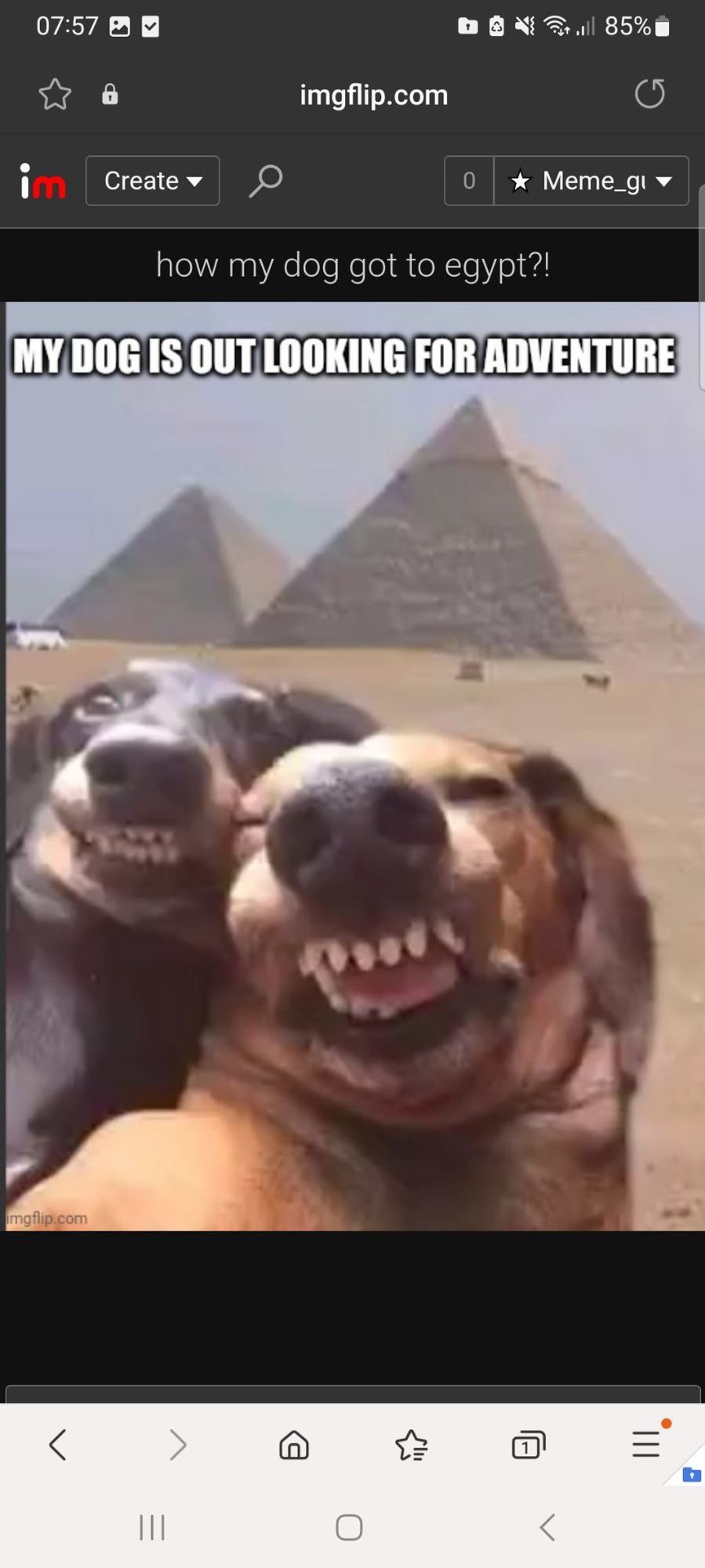 How my dog got to Egypt?? - meme