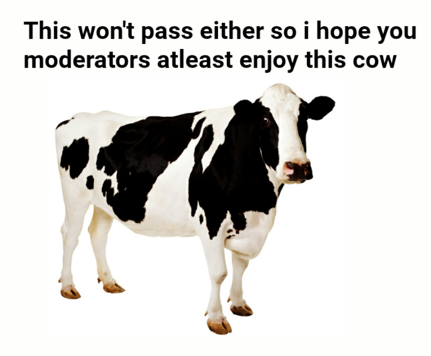 Here's a cow for all loyal mods - meme