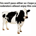 Here's a cow for all loyal mods