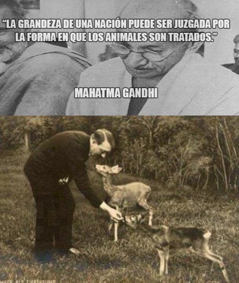 Tito Adolf - meme