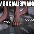 dongs in a socialist