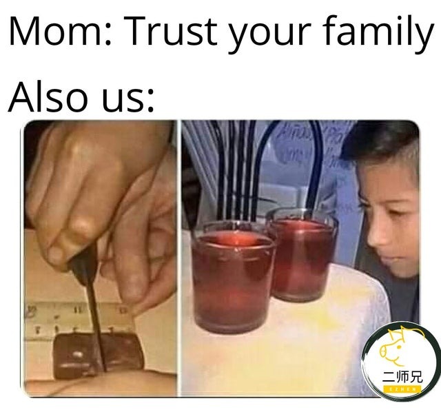 trust your family - meme