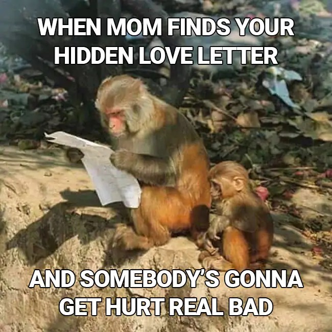 monkey lovee - meme