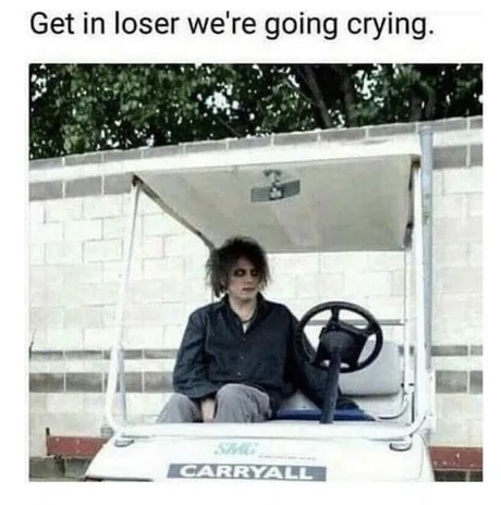 Get in loser we're going crying - meme