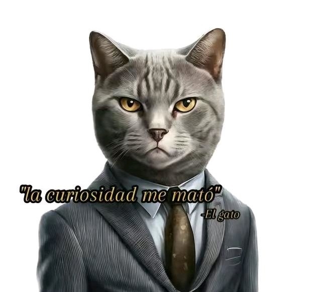 Mi gato - Meme subido por UnChido :) Memedroid