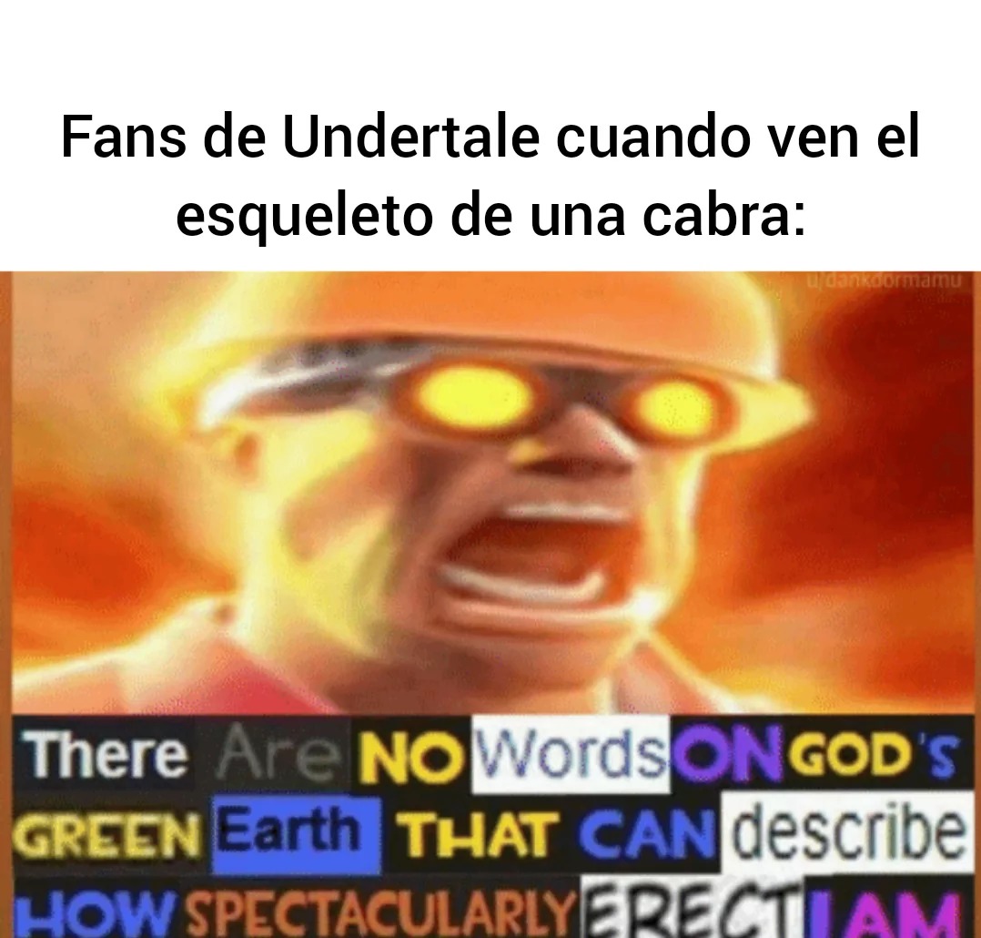 Zoonecrofilicos - meme