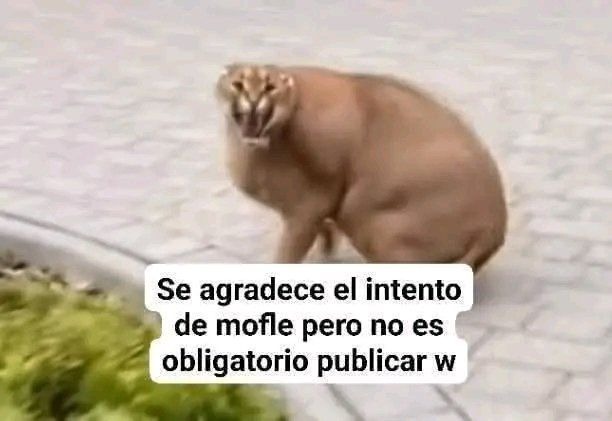 Que - meme