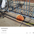 commented item thumbnail