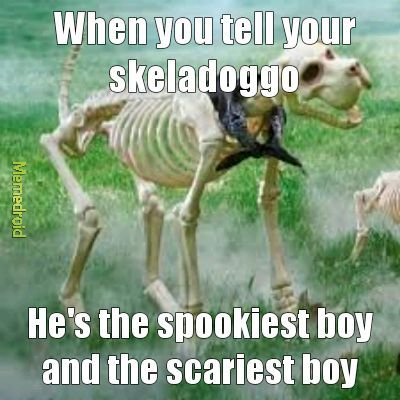 Scary doggo is my bestfriends - meme