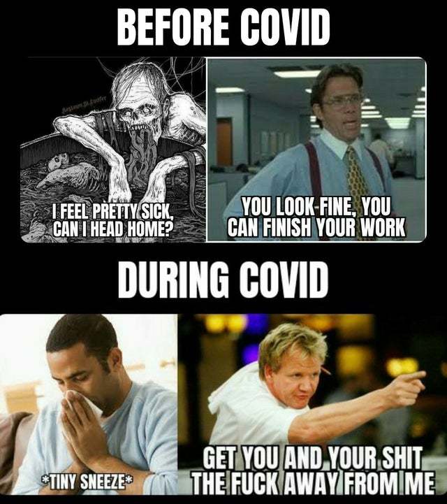 Before and during Covid 19 - meme