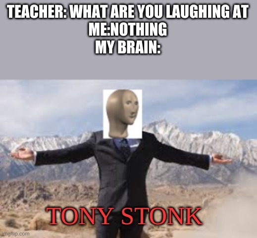 Tony Stonk - meme