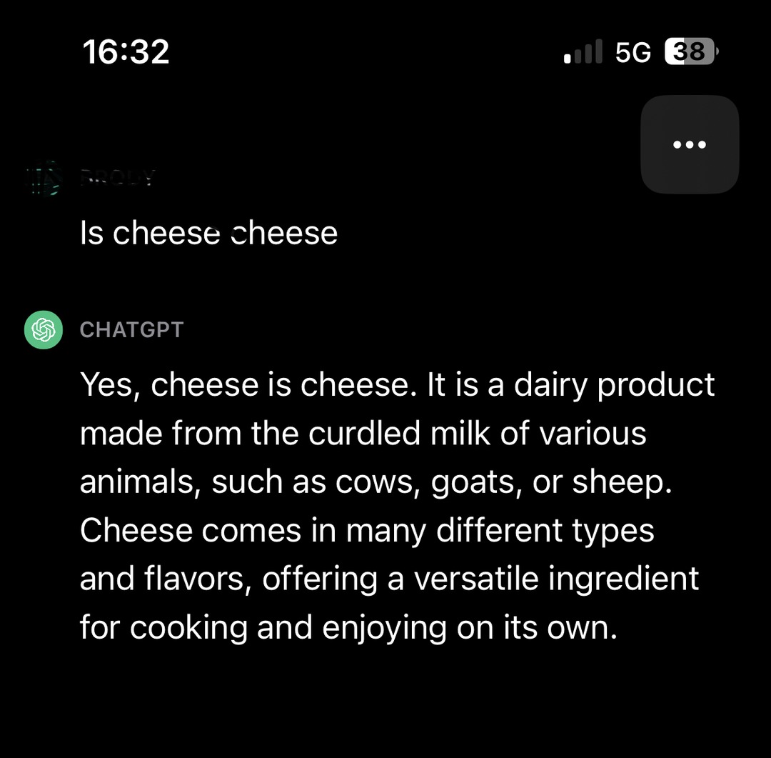 Hmm…. It seems the cheese here is made out of cheese - meme