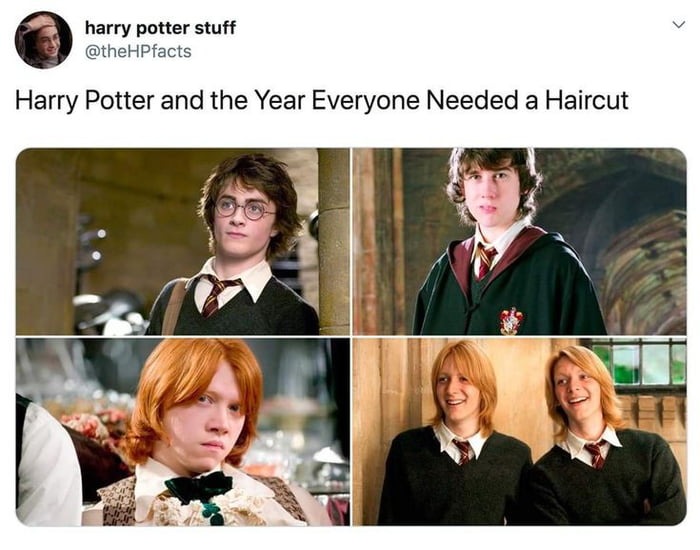 Harry potter meme